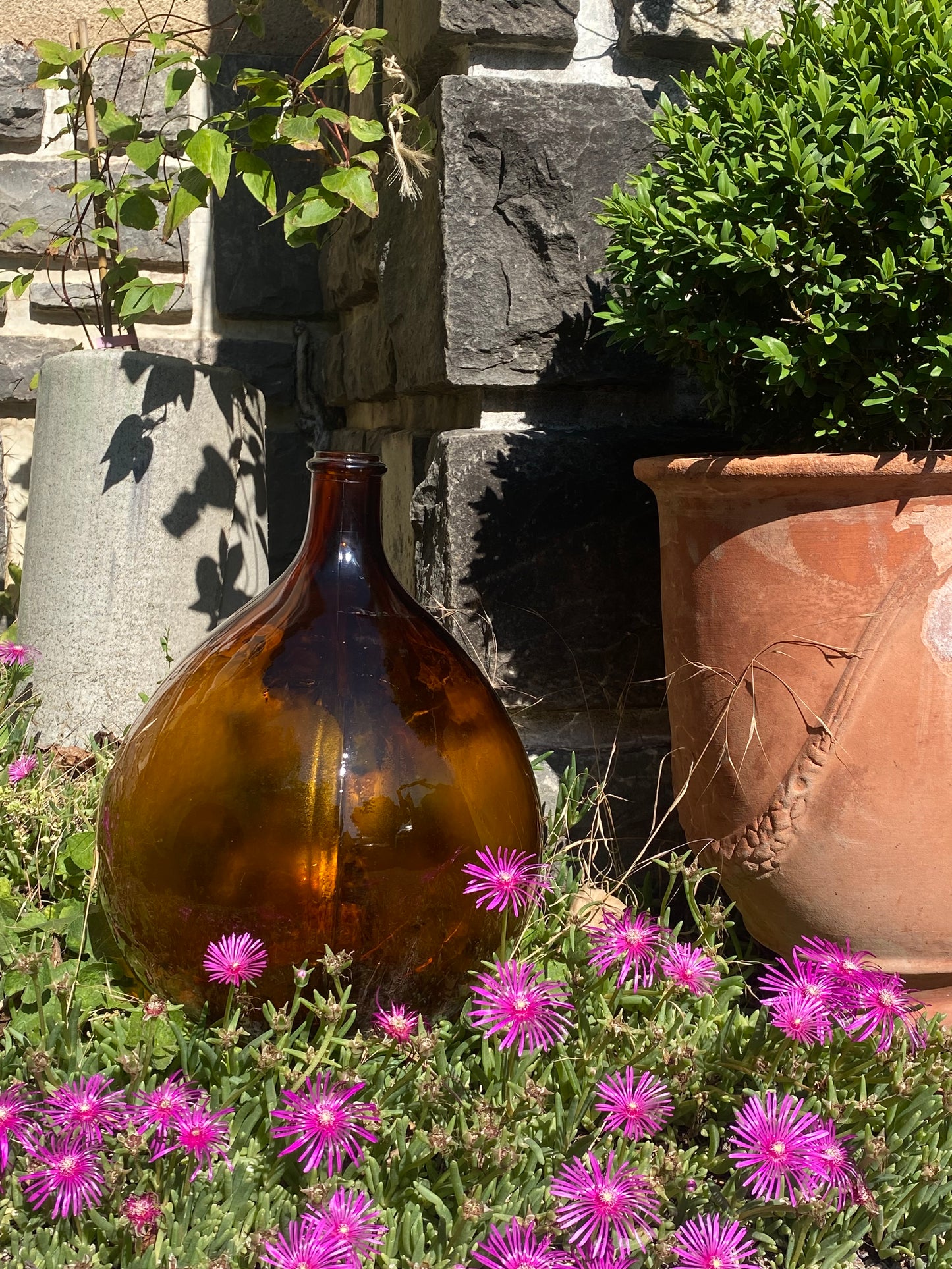 Dame Jeanne ambrée 10L