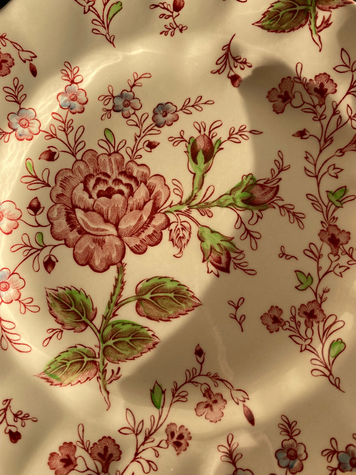 Paire d’assiettes Johnson Bros Rose Chintz