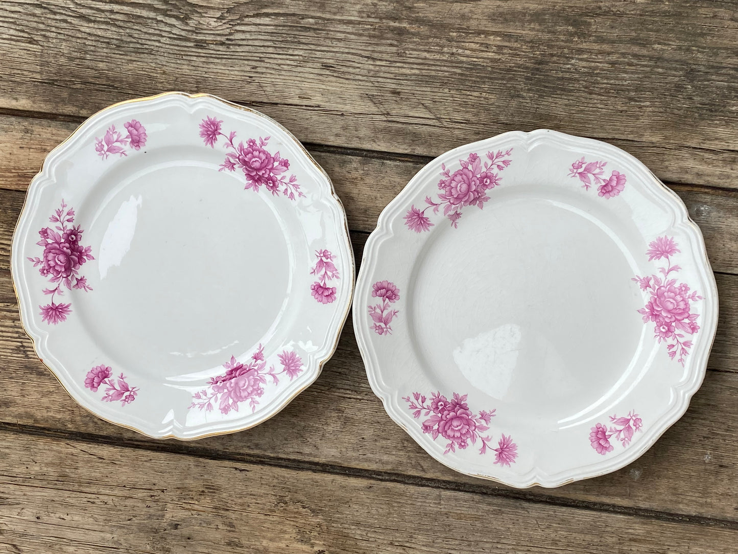 Paire d’assiettes a fleurs en porcelaine vintage CCB