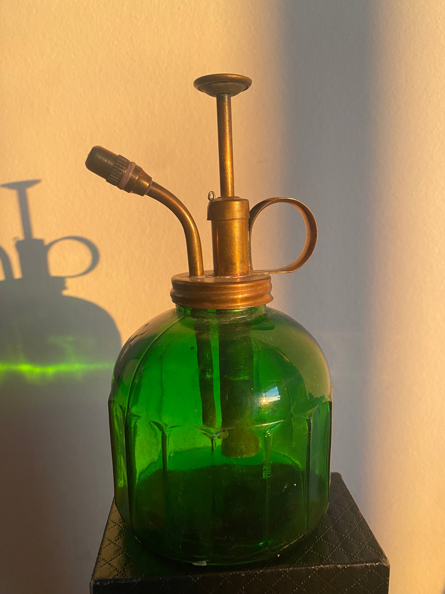 Vaporisateur de plantes vintage