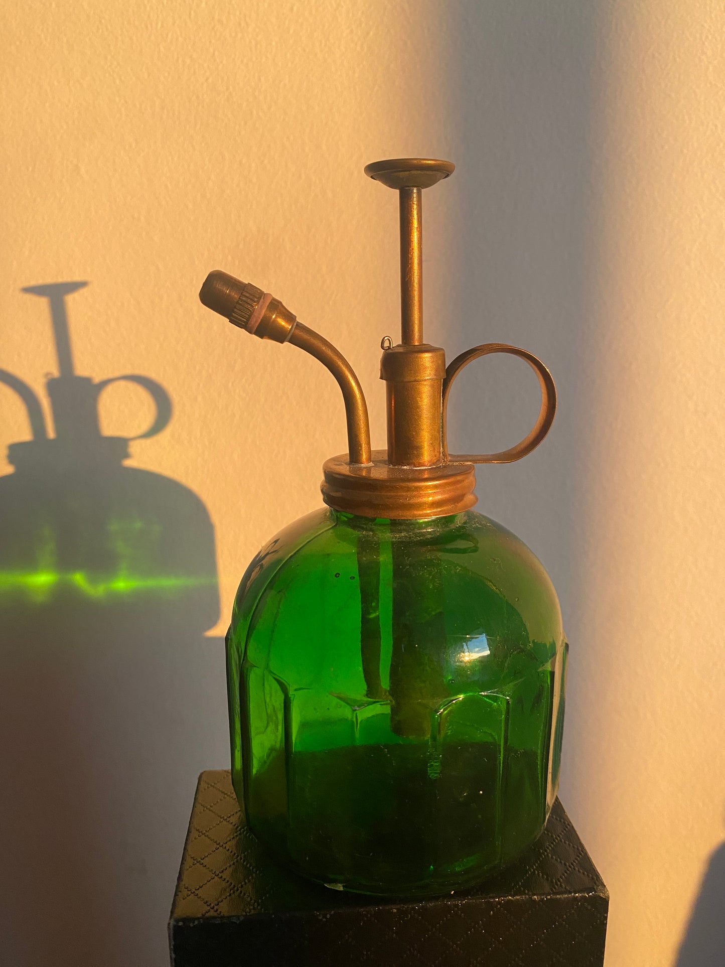 Vaporisateur de plantes vintage