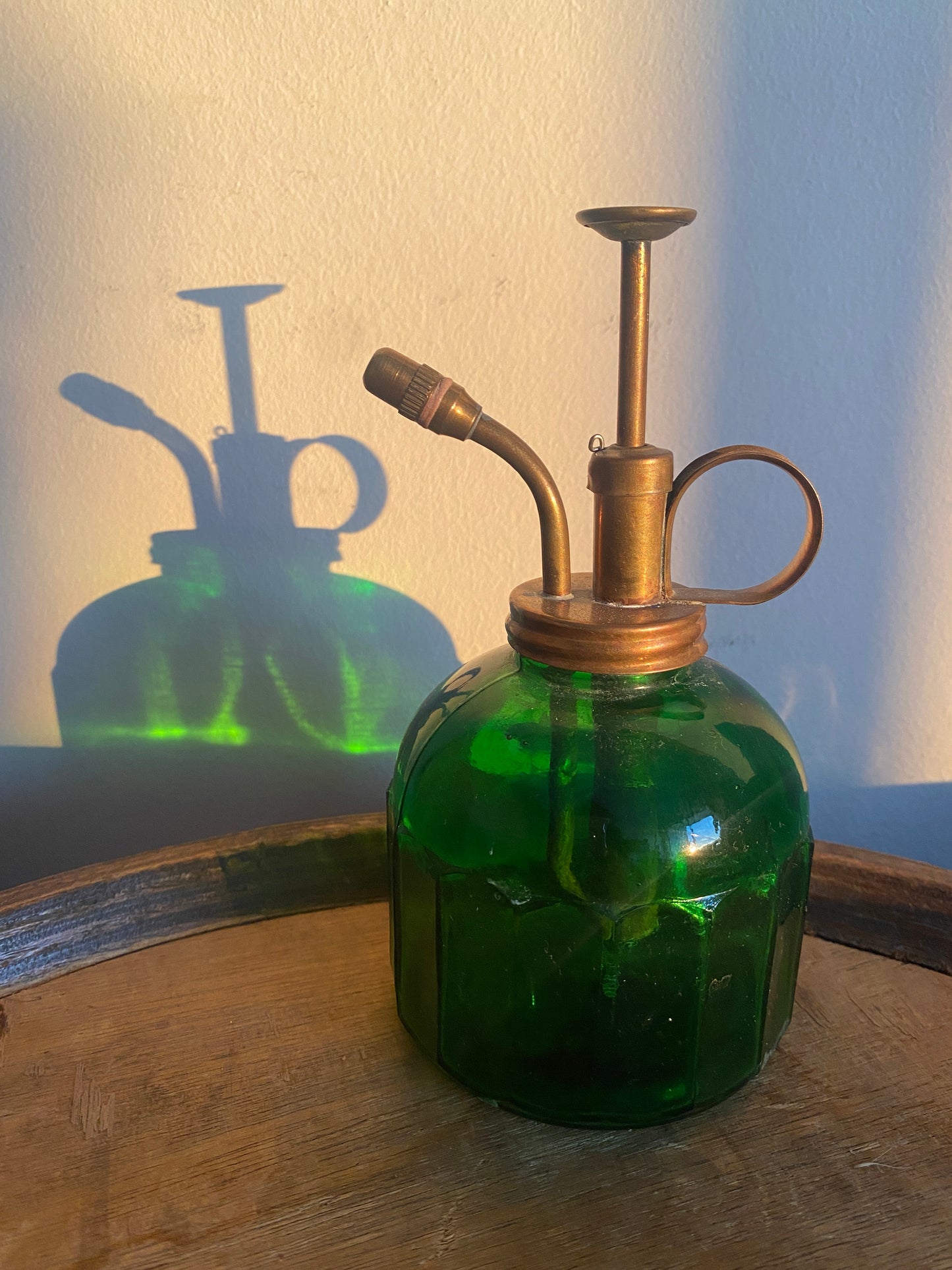 Vaporisateur de plantes vintage