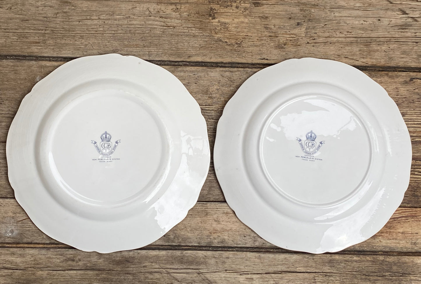 Paire d’assiettes a fleurs en porcelaine vintage CCB