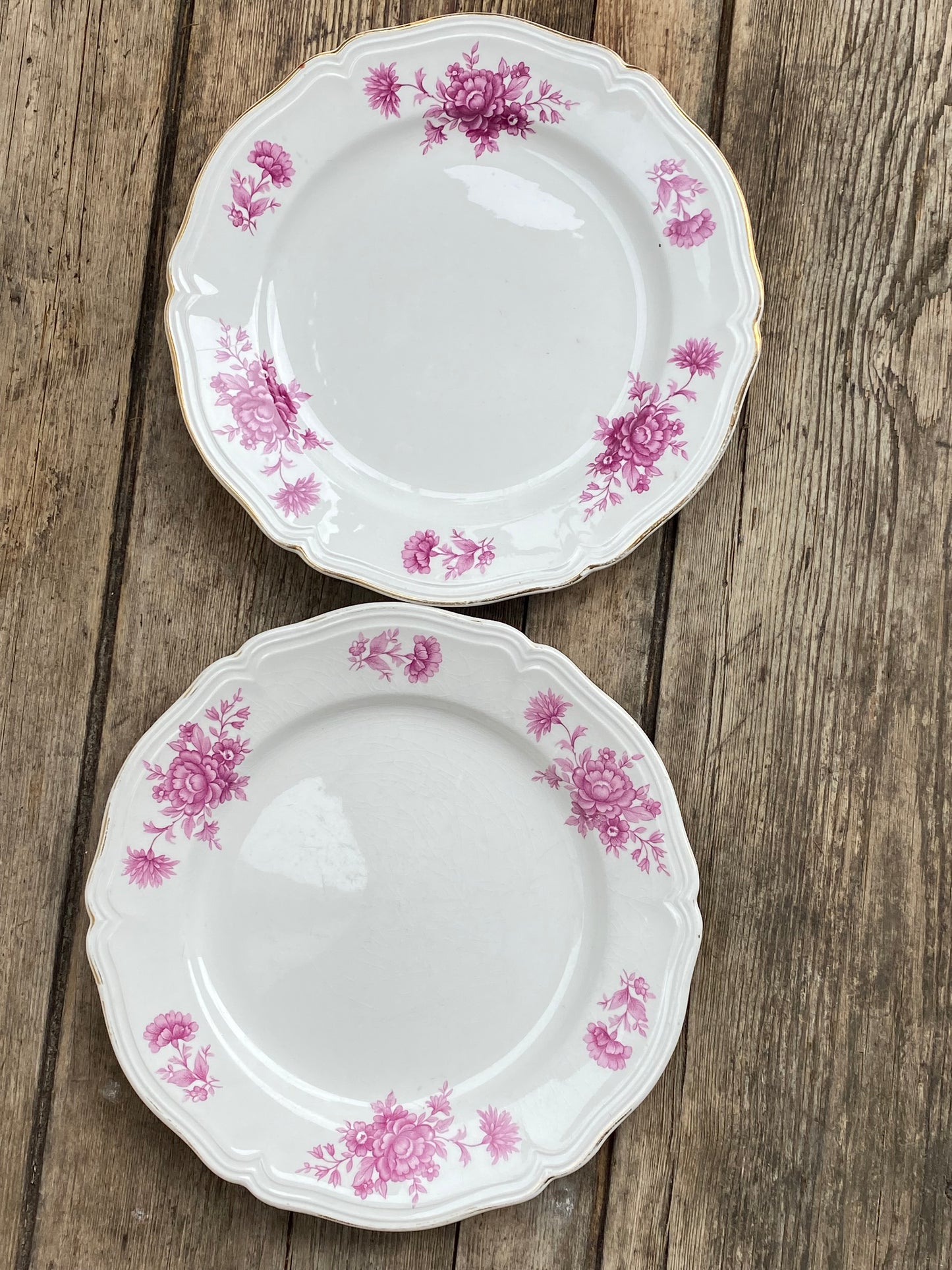 Paire d’assiettes a fleurs en porcelaine vintage CCB
