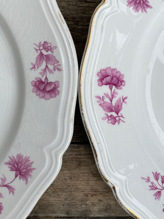 Paire d’assiettes a fleurs en porcelaine vintage CCB